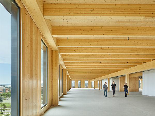 Interior of Building with Exposed Wood and Windows